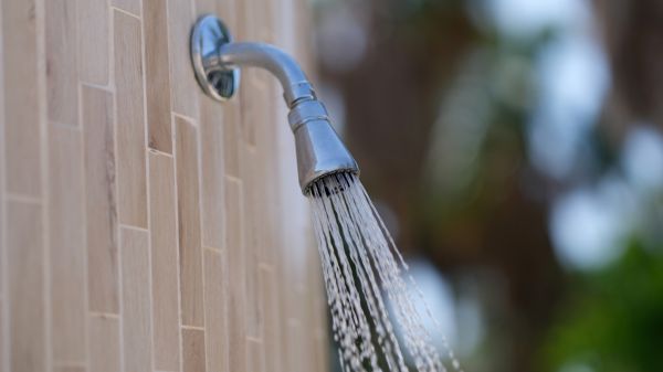 Showerhead Repair in Burleson